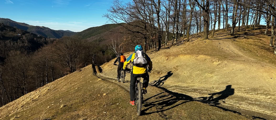 biciclete KTM de inchiriat - Sibiu