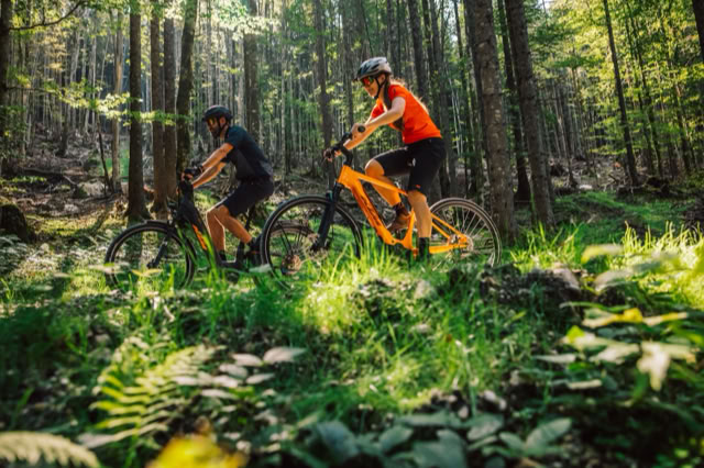 e-bikes - electric bikes rental in Sibiu Romania