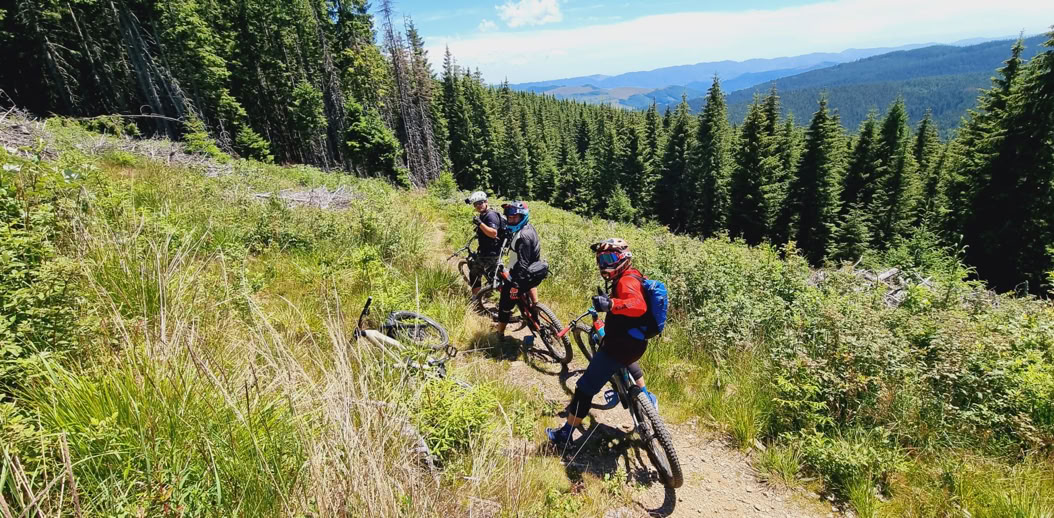biciclete KTM de inchiriat - Sibiu